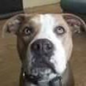 Meet your Posher, Jay